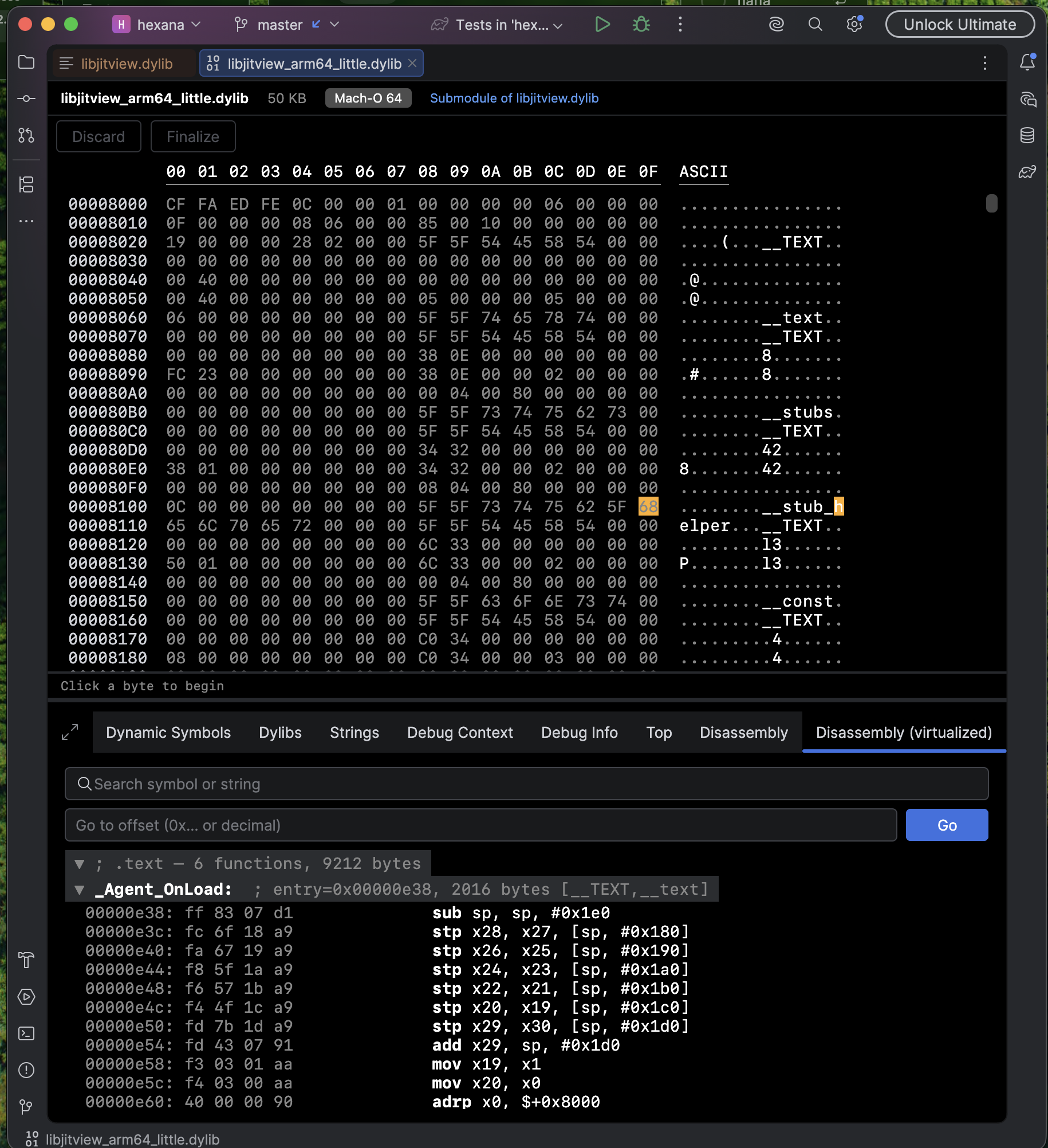 Disassembly view of an ELF binary