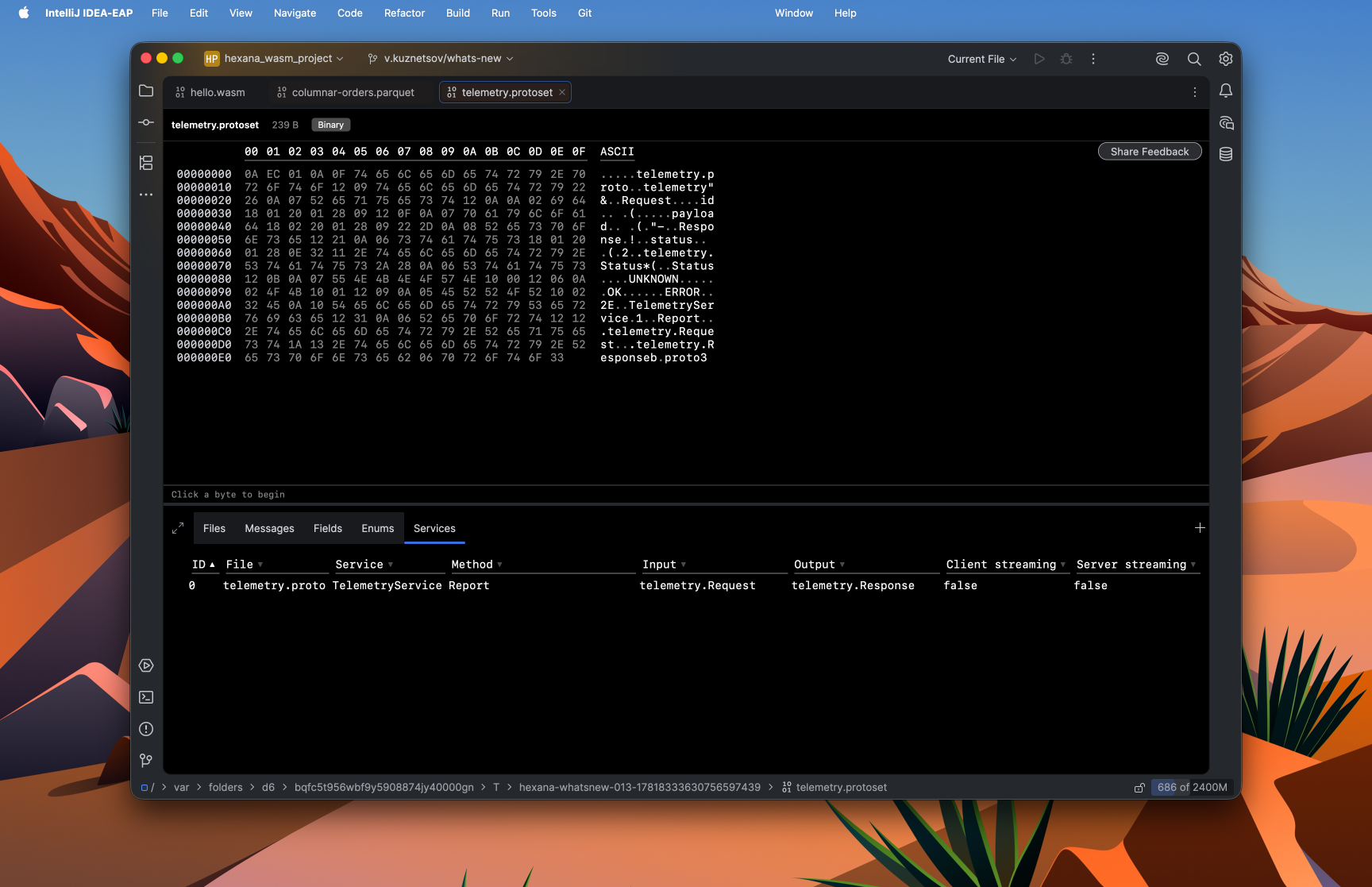 Protobuf descriptor set tabs