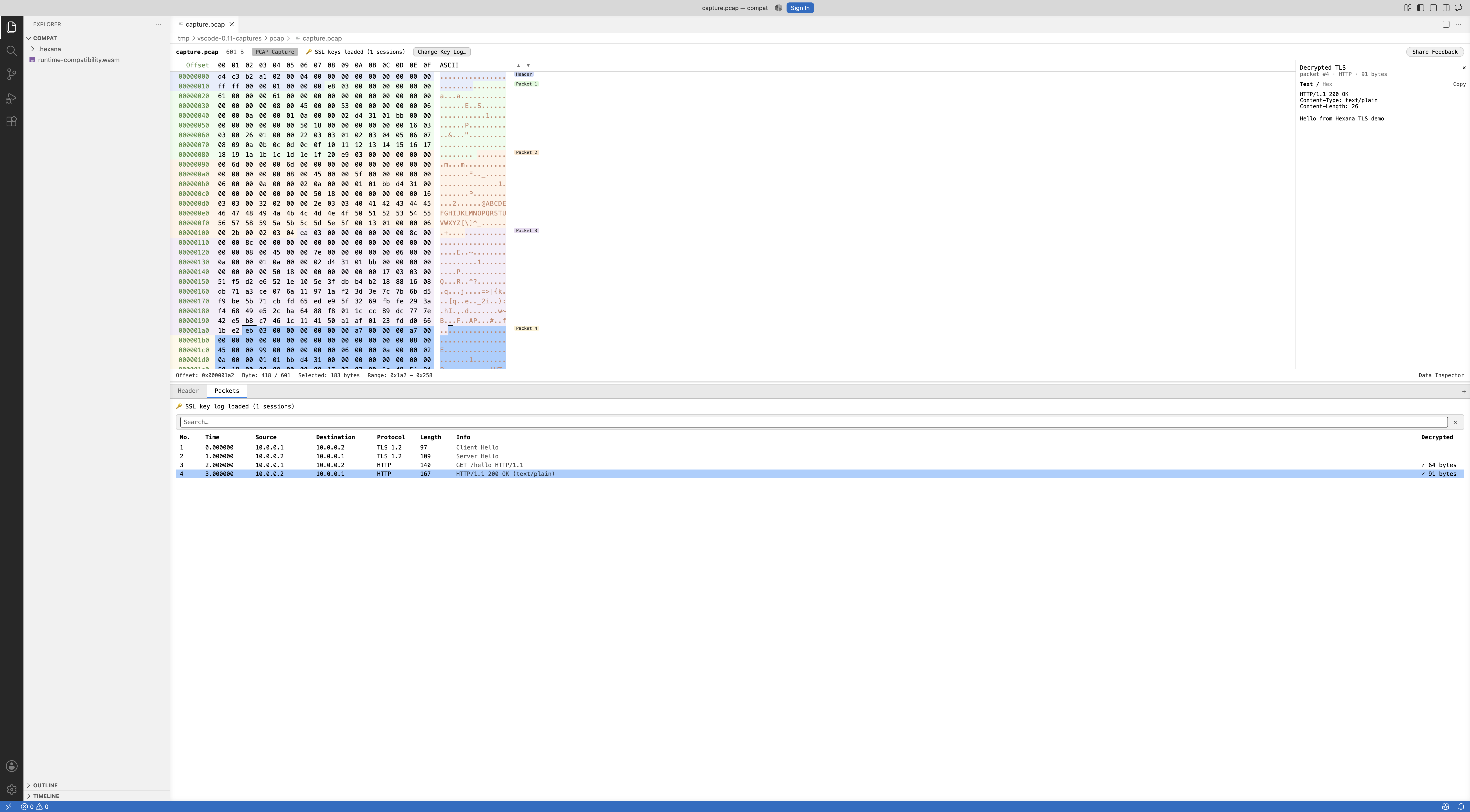 PCAP file with TLS decryption, showing decrypted sessions